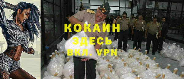 мяу мяу мука Бородино